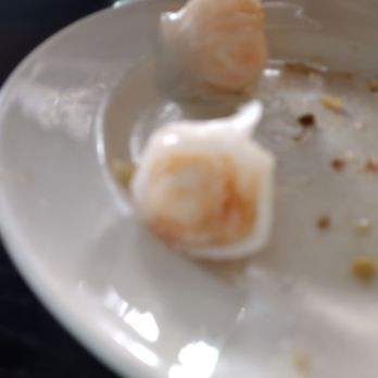 Sea Palace - Dim Sum Near Me - Amsterdam, New Hampshire Sea Palace - Dim Sum Near Me - Amsterdam, New Hampshire