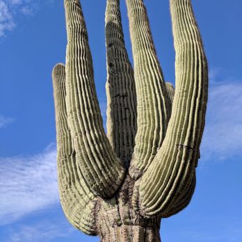 Sonoran Preserve - Hiking Near Me - Phoenix, Arizona