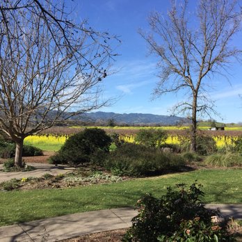 Frog's Leap Winery - Wineries Near Me - Rutherford, California Frog's Leap Winery - Wineries Near Me - Rutherford, California