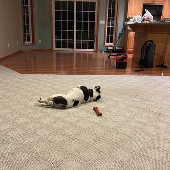 Schwaherts Pristine Clean - Sooo clean! Louie approves! - Home Cleaning Near Me