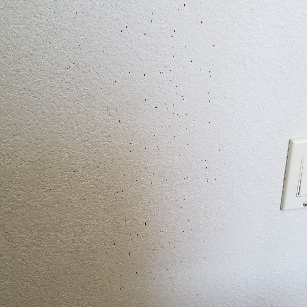 Sleep Inn Near Washington State Line - Blood on the wall? - Hotels Near Me - Post Falls, Idaho Sleep Inn Near Washington State Line - Blood on the wall? - Hotels Near Me - Post Falls, Idaho