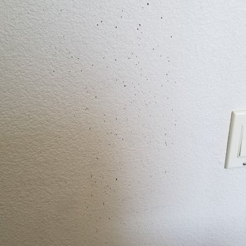 Sleep Inn Near Washington State Line - Blood on the wall? - Hotels Near Me - Post Falls, Idaho