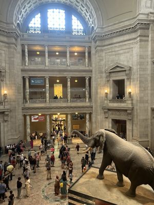 Smithsonian National Museum of Natural History by null