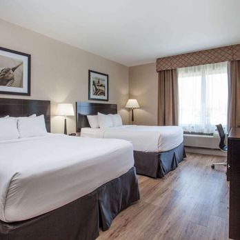 Wingate By Wyndham Edmonton Airport - Guest room - Hotels Near Me - Leduc, Alberta Wingate By Wyndham Edmonton Airport - Guest room - Hotels Near Me - Leduc, Alberta