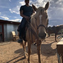Katarina Highland Ranch - Chayenne, super sweet and cute mustang. Very calm as well