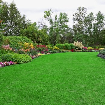 Paradise Yard Care - Now, that's a nice backyard! - Landscaping Near Me - Saint Pete Beach, Florida Paradise Yard Care - Now, that's a nice backyard! - Landscaping Near Me - Saint Pete Beach, Florida