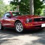Photo of Premium Auto Detailing