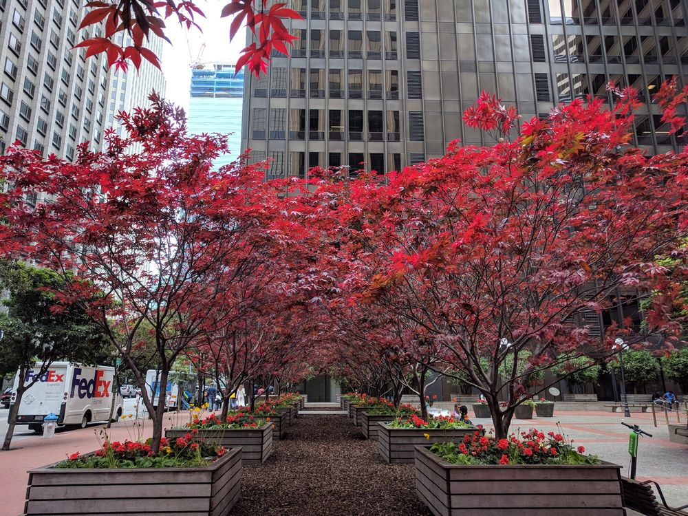 SD BECHTEL PLAZA Updated April 2024 10 Photos 40 Beale St, San