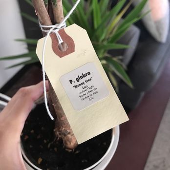 Pueblo - Nurseries & Gardening Near Me - Phoenix, Arizona