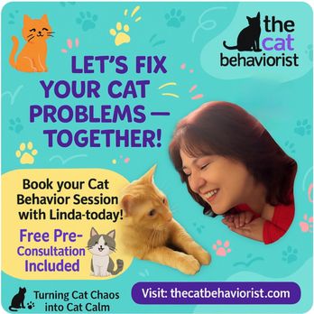 The Cat Behaviorist - Pet Training Near Me The Cat Behaviorist - Pet Training Near Me