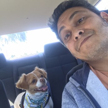 Bark Out Loud - Pet Groomers Near Me - San Diego, California