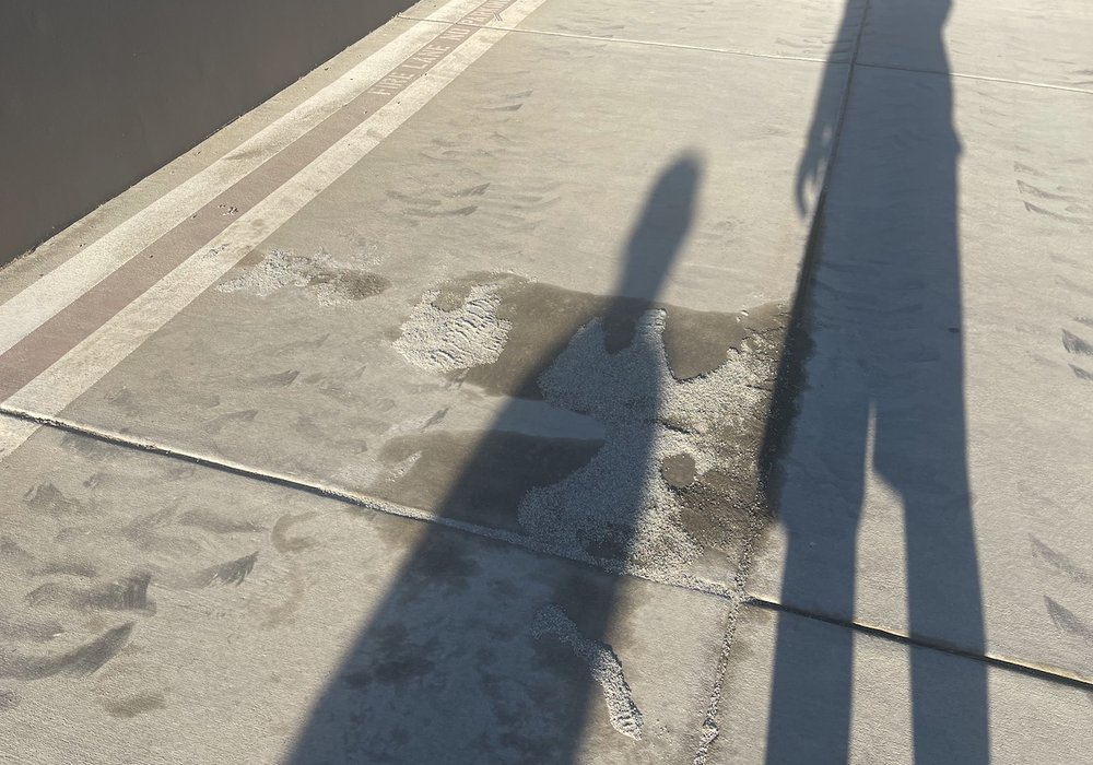 CLAIREMONT EQUIPMENT RENTALSINDIO Updated September 2024 81501 Industrial Pl, Indio