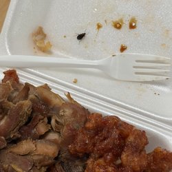 Panda Palace - Roach in food