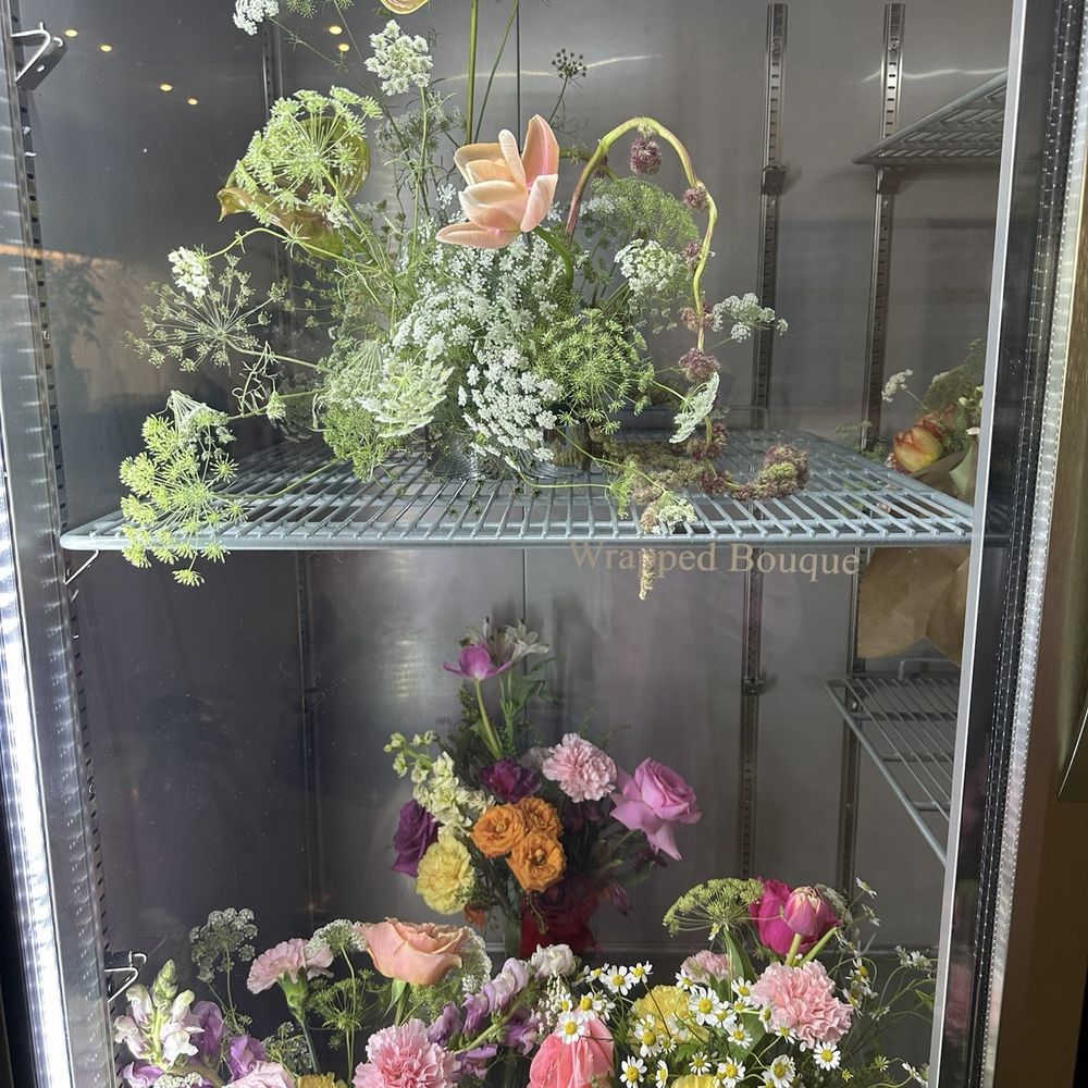 Eden Plant Co - Coffee & Tea Near Me - Houston, Texas
