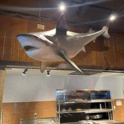 Blackbeard's Triple Play Restaurant and Sports Bar