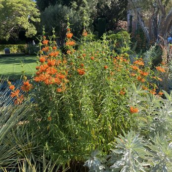 Filoli - Botanical Gardens Near Me - Woodside, California