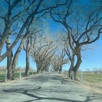 Frey Ranch Farmers + Distillers - Ranch entrance - Distilleries Near Me - Fallon, Nevada