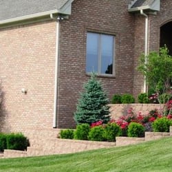 Affordable Trees