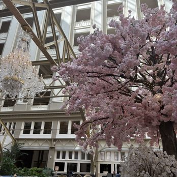 Waldorf Astoria Washington DC - Hotels Near Me - Washington, DC, District of Columbia Waldorf Astoria Washington DC - Hotels Near Me - Washington, DC, District of Columbia