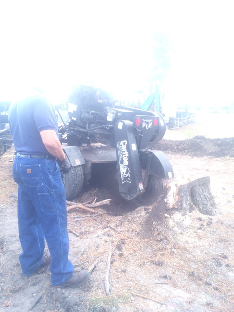 TONY’S AFFORDABLE TREE SERVICE Updated August 2024 21 Photos