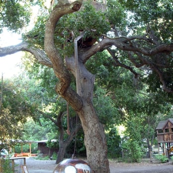 The Peninsula School - Elementary Schools Near Me - Menlo Park, California The Peninsula School - Elementary Schools Near Me - Menlo Park, California
