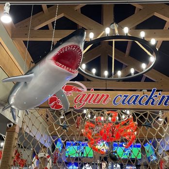 Cajun Crack'n - A big ol' shark greeting us when we walked in - Seafood Near Me - Milpitas, California Cajun Crack'n - A big ol' shark greeting us when we walked in - Seafood Near Me - Milpitas, California