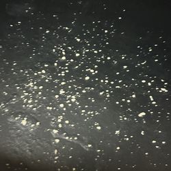 Webster Park Rehabilitation & Healthcare Center - Disgusting