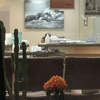 BluePearl Pet Hospital - The rude woman. - Veterinarians Near Me - Forest Hills, New York BluePearl Pet Hospital - The rude woman. - Veterinarians Near Me - Forest Hills, New York