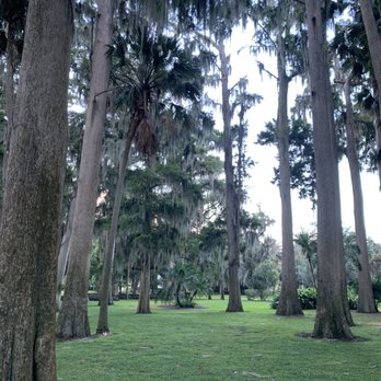 Kraft Azalea Garden - The trees - Parks Near Me - Winter Park, Florida