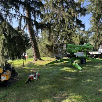 Root Wrecker - Tree Services Near Me - Washington, Pennsylvania Root Wrecker - Tree Services Near Me - Washington, Pennsylvania