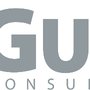 Gunn Consultants