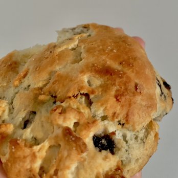 Laughing Bean Coffee Company - Blueberry Scone - Coffee & Tea Near Me - Vancouver, British Columbia
