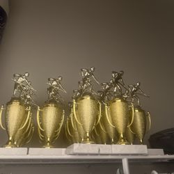 Arista Trophies & Awards - Our future trophies that will be presented to the winners.