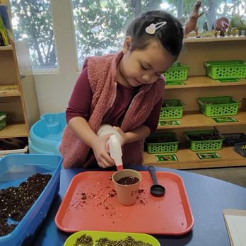 Acacia Montessori School - Montessori Schools Near Me - Covina, California Acacia Montessori School - Montessori Schools Near Me - Covina, California