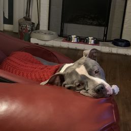 Our sweet girl EESY Our sweet girl EESY