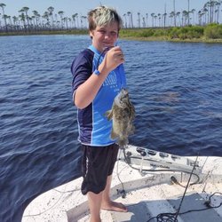 Tail Addiction Charters