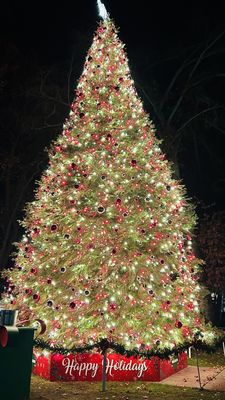 Healdsburg Plaza by null