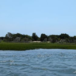 Waterbug Tours