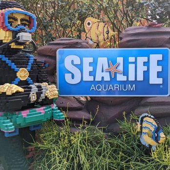Sea Life Aquarium - Front signage, right next to Legoland - Aquariums Near Me - Carlsbad, California Sea Life Aquarium - Front signage, right next to Legoland - Aquariums Near Me - Carlsbad, California
