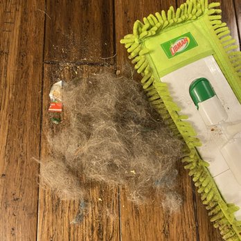 We Want Clean - Our favorite tool for your pets hair! - Home Cleaning Near Me We Want Clean - Our favorite tool for your pets hair! - Home Cleaning Near Me