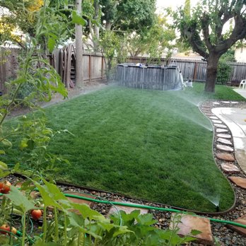 SLS Landscaping - Serge did an Awesome Job installing Drainage, Sprinklers and Sod in my backyard. - Landscaping Near Me SLS Landscaping - Serge did an Awesome Job installing Drainage, Sprinklers and Sod in my backyard. - Landscaping Near Me