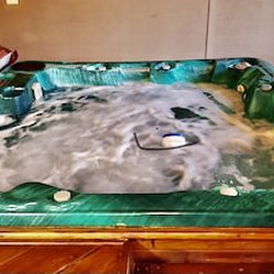 Hot Springs Lake House Rentals