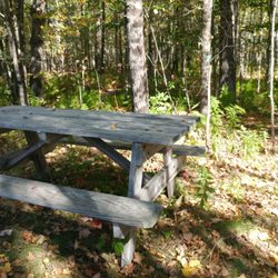 Intervale Preserve - The first thing you'll see at Intervale is the picnic table!