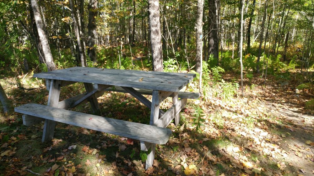 INTERVALE PRESERVE Updated September 2024 14 Photos 642 Intervale Rd, New Gloucester