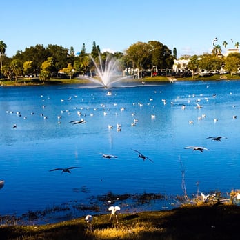 Mirror Lake Park - Tons of birds - Parks Near Me - St. Petersburg, Florida Mirror Lake Park - Tons of birds - Parks Near Me - St. Petersburg, Florida