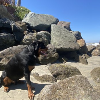 Del Mar North Beach - Beaches Near Me - Del Mar, California