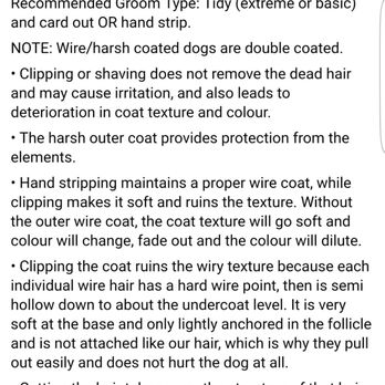 Waggin' Tails - "Clipping the coat ruins the wiry texture...". My dog was shaved all the way down except for her legs and face. - Pet Groomers Near Me - Jacksonville, Florida Waggin' Tails - "Clipping the coat ruins the wiry texture...". My dog was shaved all the way down except for her legs and face. - Pet Groomers Near Me - Jacksonville, Florida