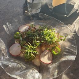 DELICIOUS Crudo appetizer!!! YUM.  Food outstanding