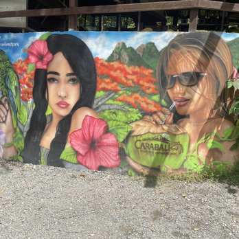 Carabali Rainforest Park - Horseback Riding Near Me - Luquillo, Puerto Rico