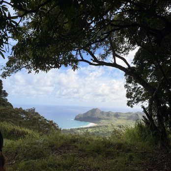 Kipu Ranch Adventures - Tours Near Me - Lihue, Hawaii Kipu Ranch Adventures - Tours Near Me - Lihue, Hawaii